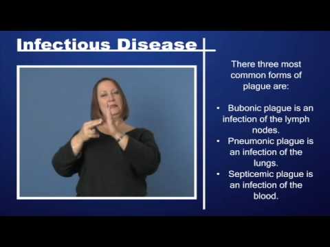 Infectious Disease – Plague Pt 1