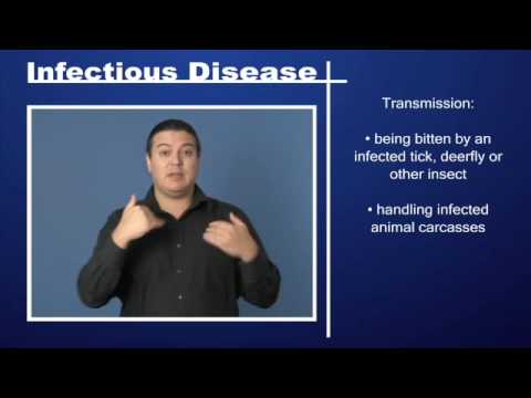 Infectious Disease – Tularemia Pt 1