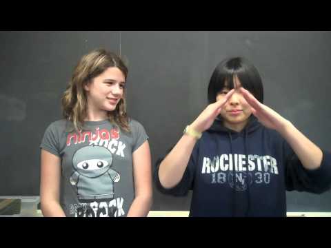 Mathematics Terms in American and Japanese Sign Languages